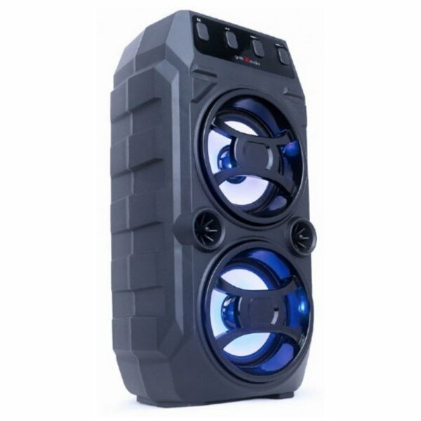 GEMBIRD Bluetooth karaoke zvučnik 2x5W, FM, USB, SD, 3,5mm, MIC 6,35mm, LED, Crni (SPK-BT-13)