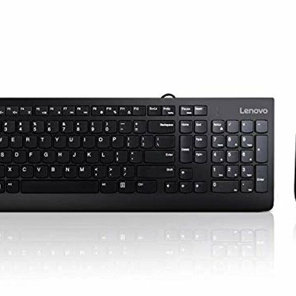 LENOVO 300 Žični set, Tastatura+miš, US raspored (GX30M39606)